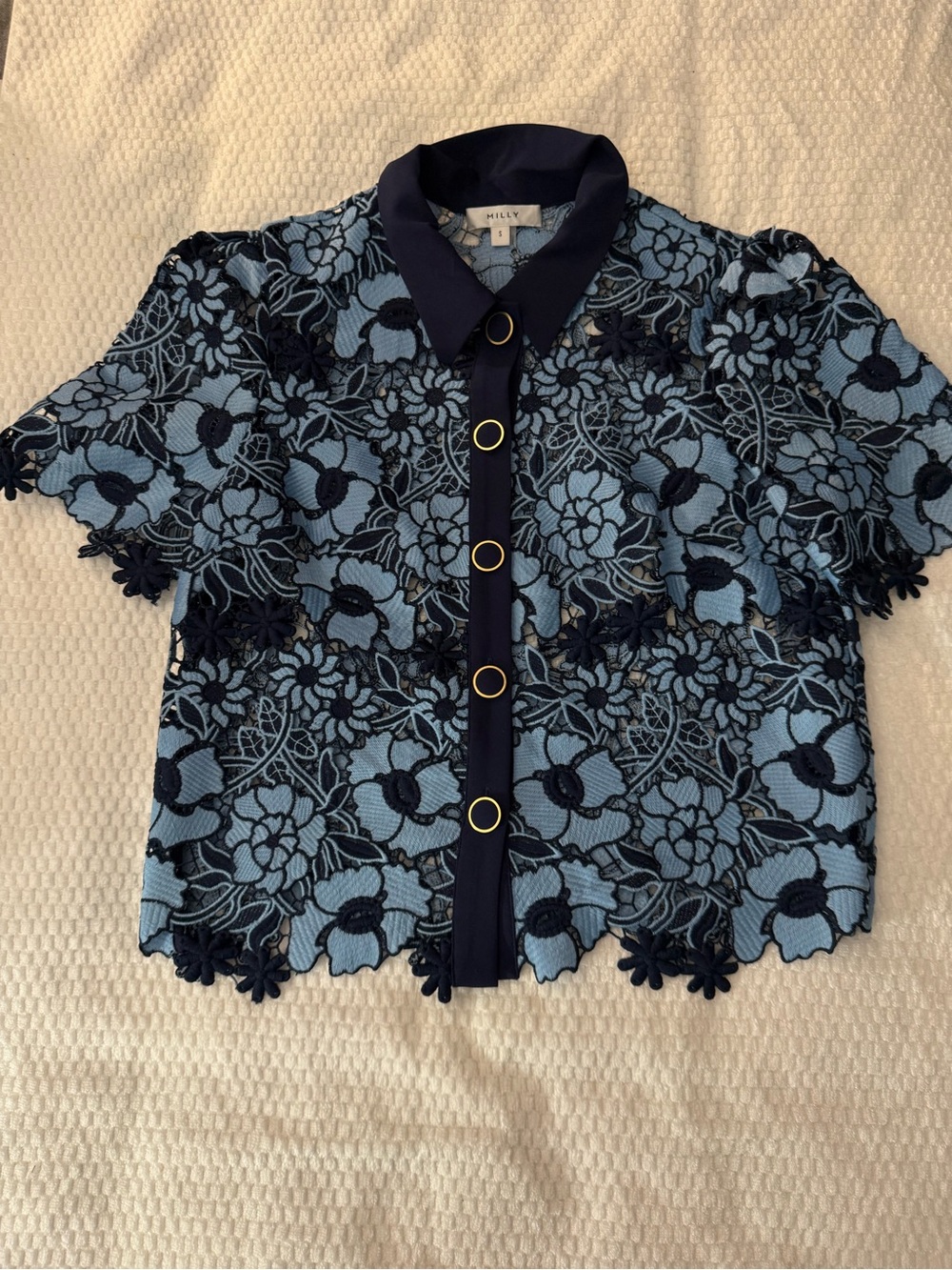 Milly Black Lace Overlay Top with Light Blue Underlay